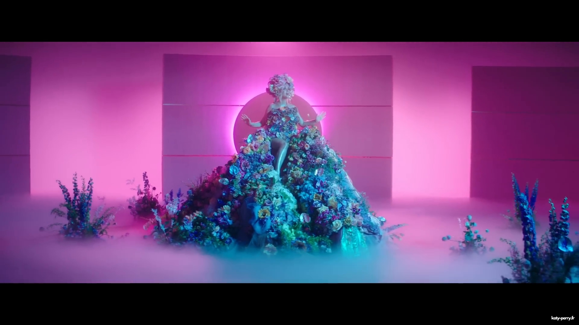 00331.jpg