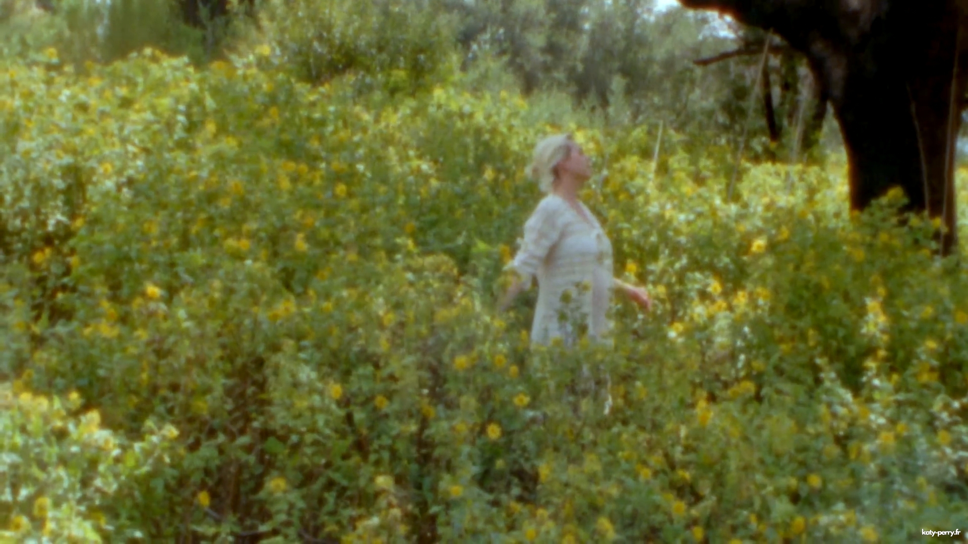 00101.jpg 00101.jpg