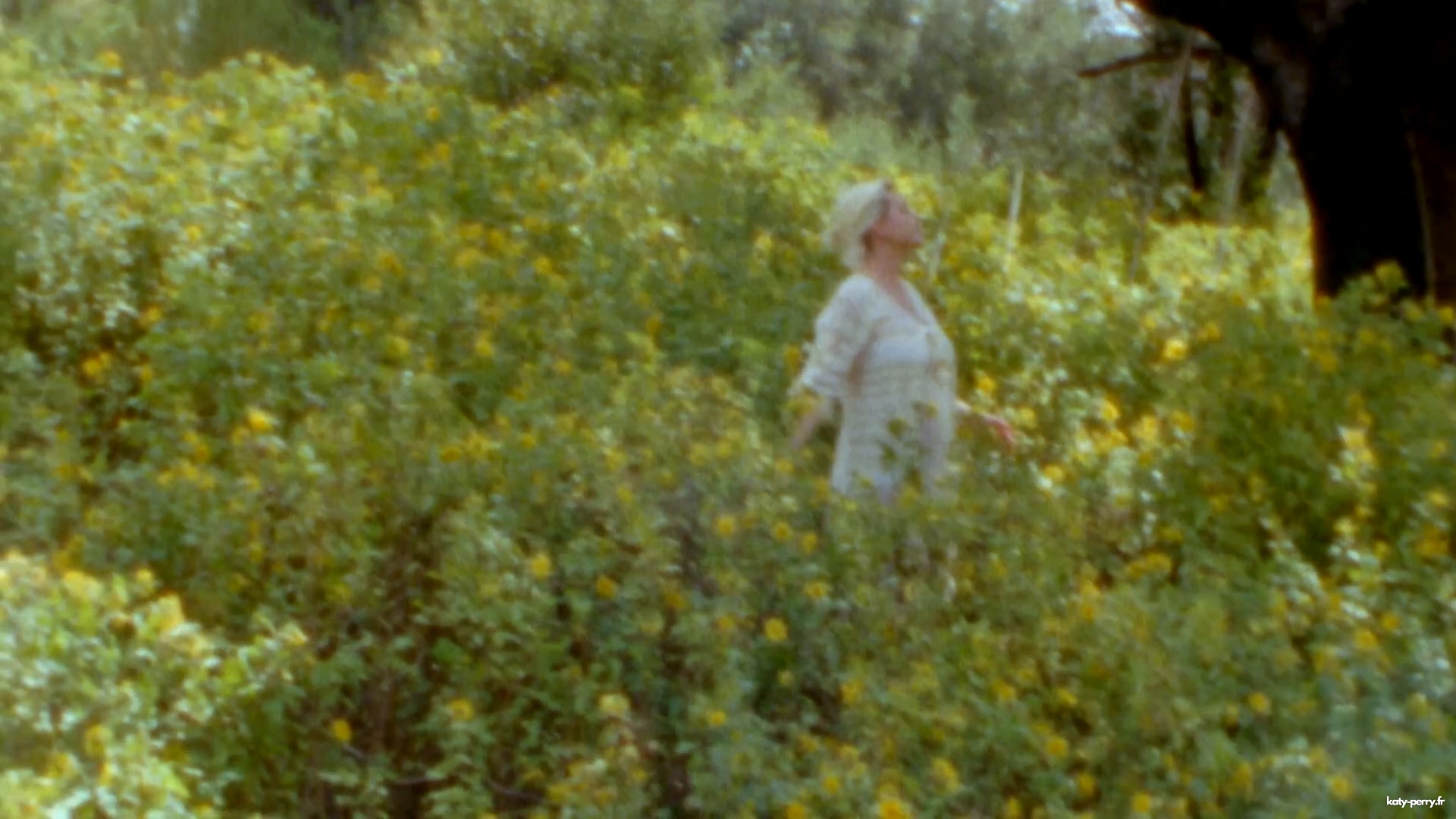00102.jpg