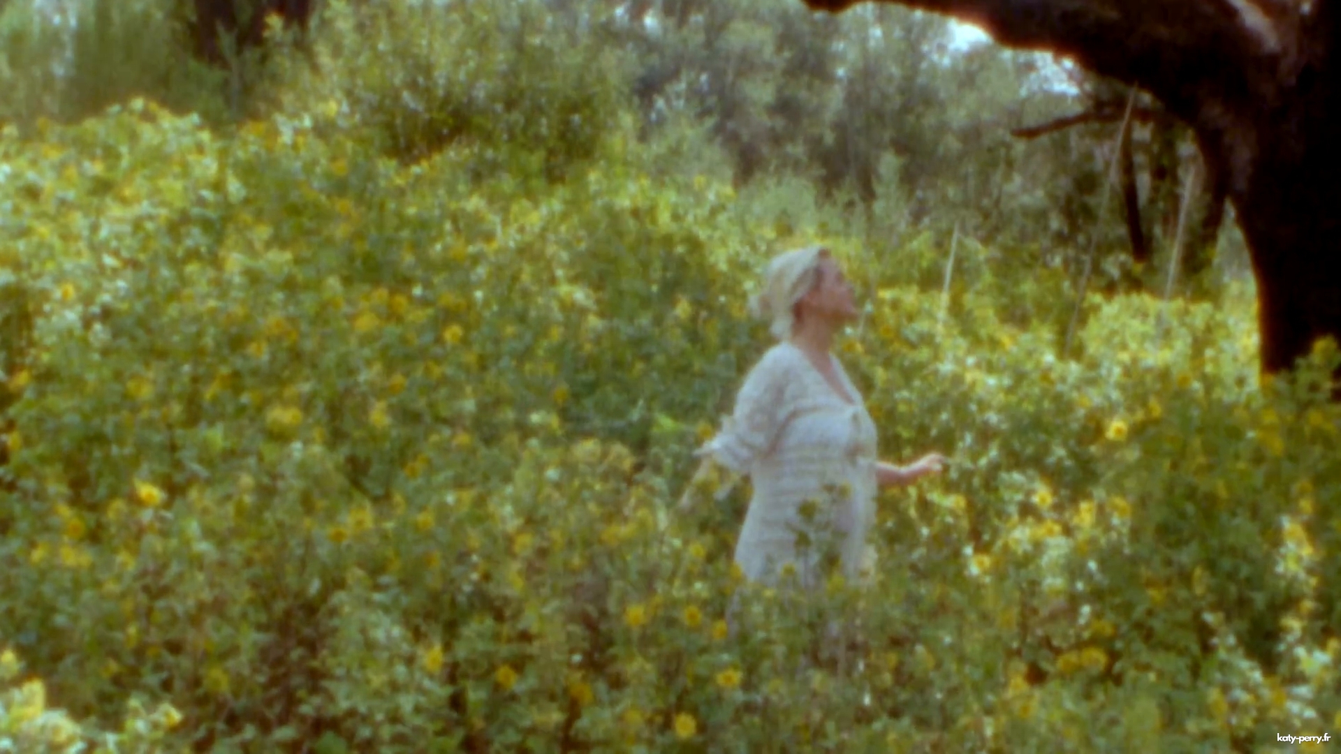 00114.jpg