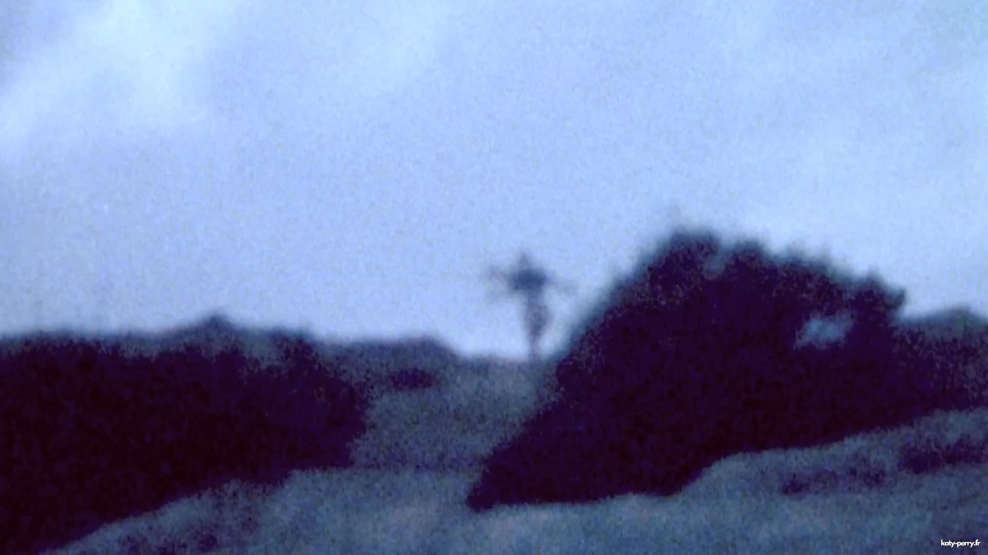 00304.jpg 00304.jpg
