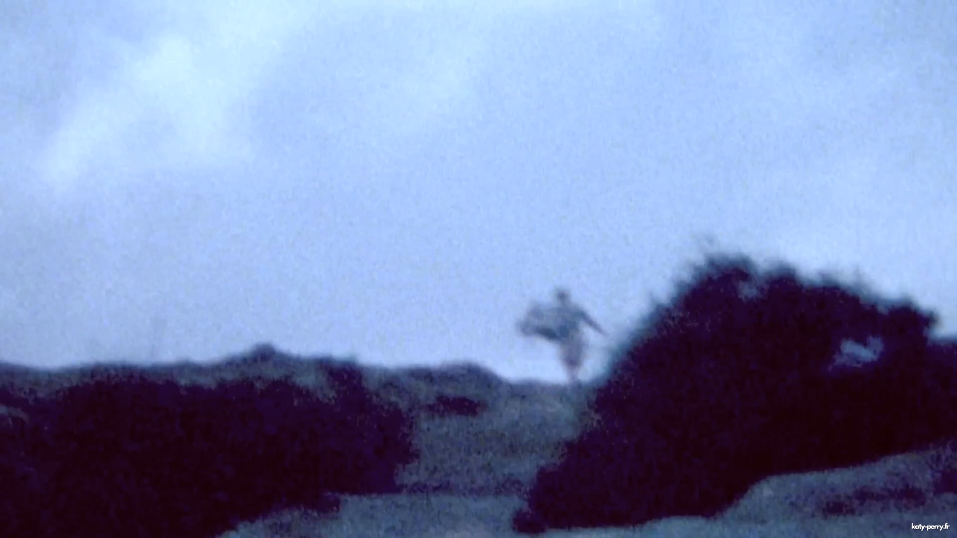 00305.jpg 00305.jpg