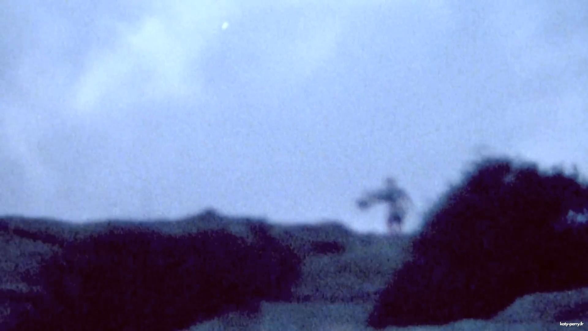 00306.jpg