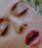 00019.jpg