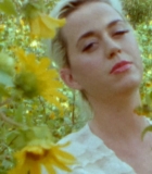 00081.jpg