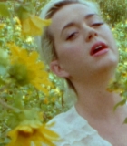 00082.jpg