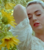 00092.jpg