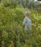 00101.jpg