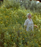 00103.jpg