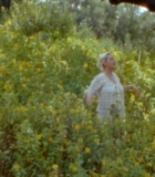 00104.jpg