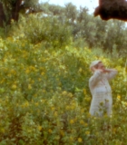00128.jpg