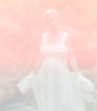 00239.jpg