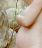 00257.jpg