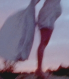 00368.jpg