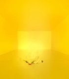 00197.jpg