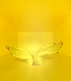 00226.jpg