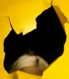 00321.jpg