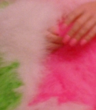 00050.jpg