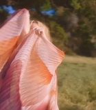 00383.jpg