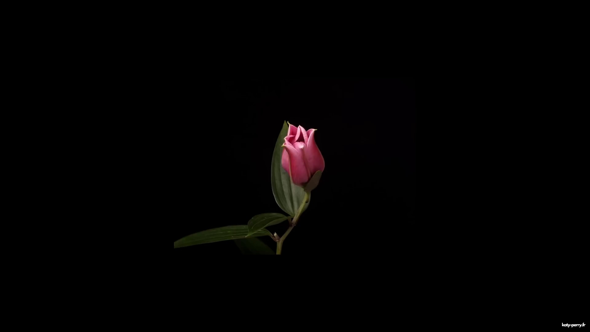 00052.jpg