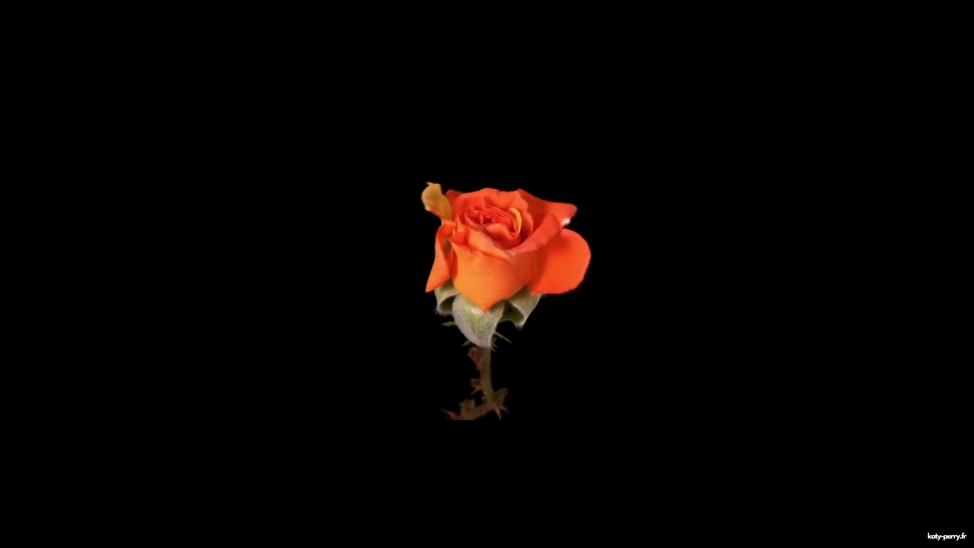 00054.jpg