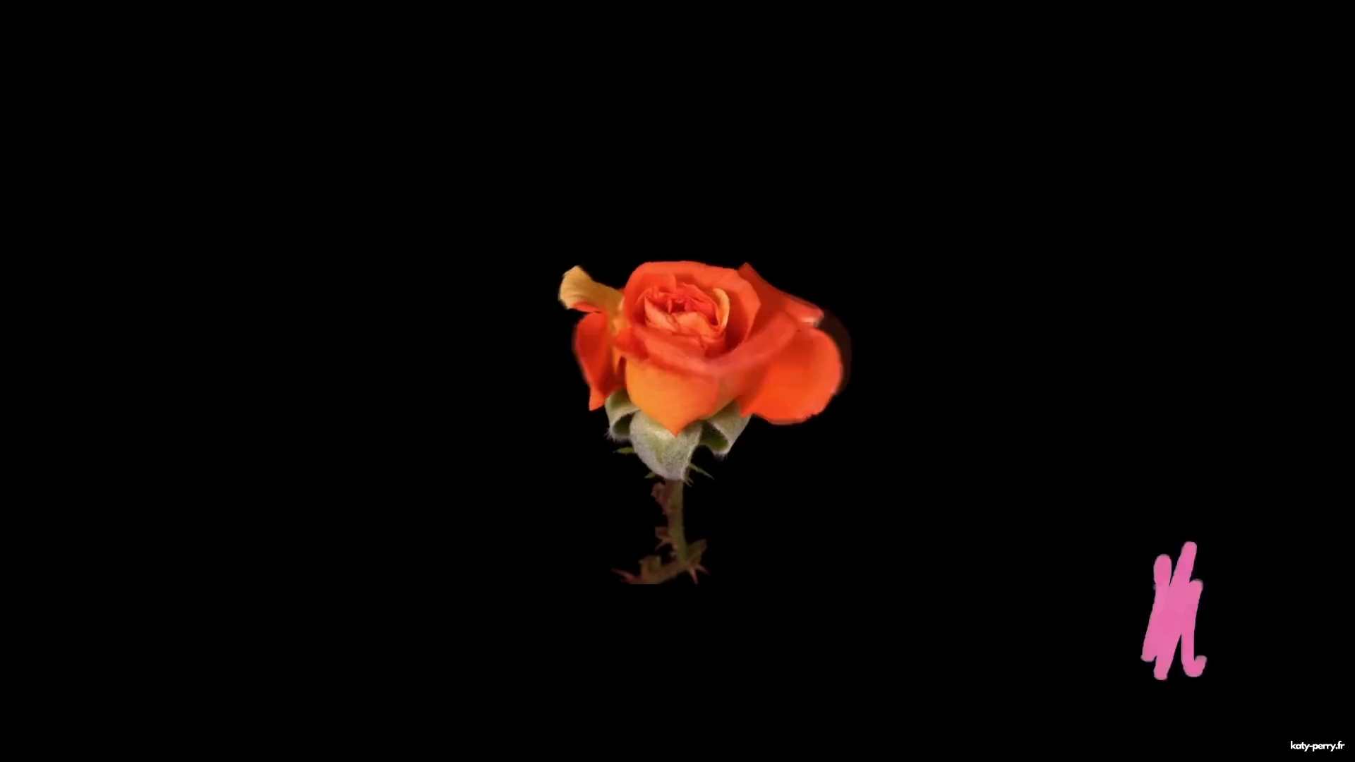 00055.jpg