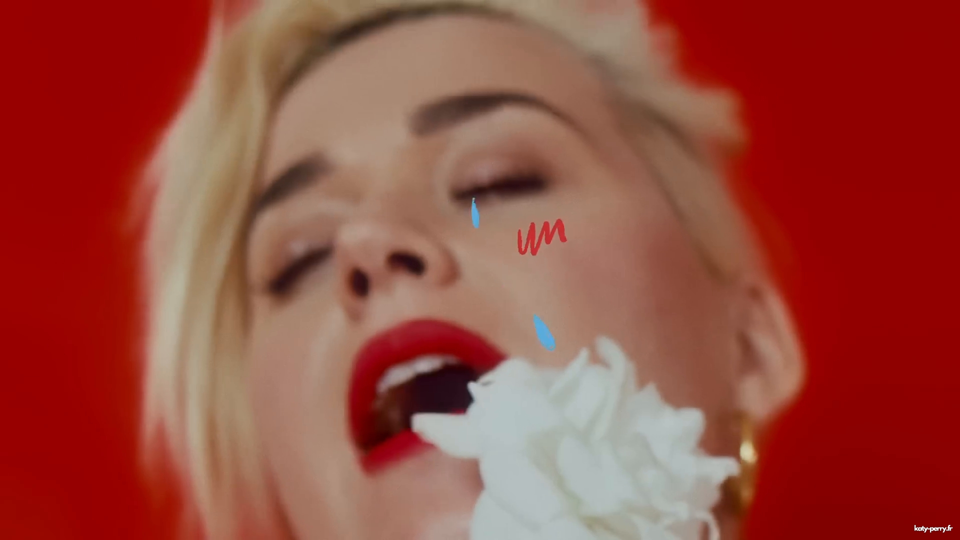 00063.jpg