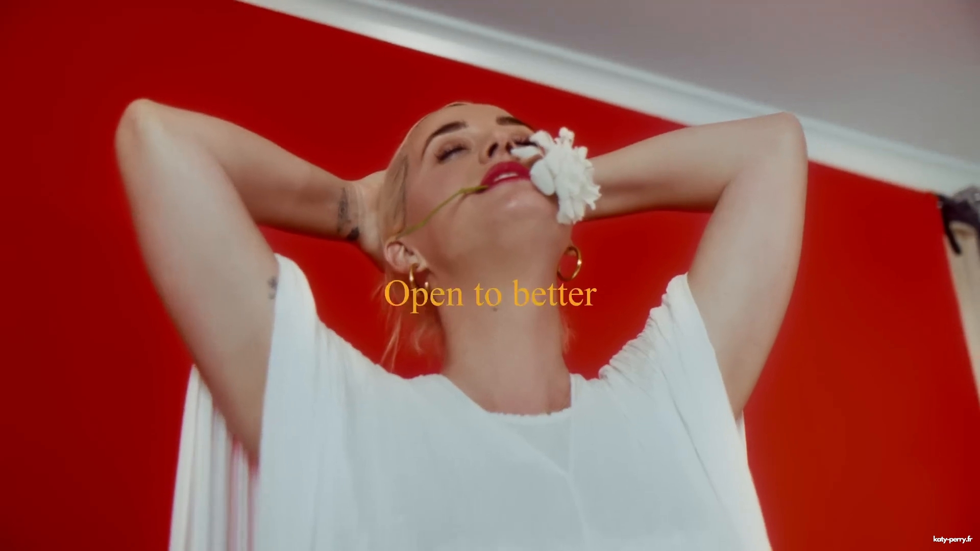 00107.jpg 00107.jpg