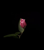 00052.jpg