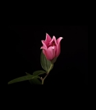 00053.jpg