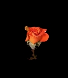 00054.jpg