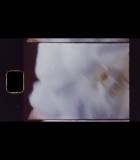00069.jpg
