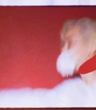 00110.jpg
