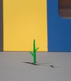 00149.jpg
