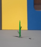 00150.jpg