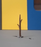 00152.jpg