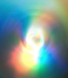 00231.jpg