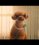 00017.jpg