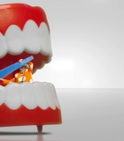 Nom du fichier=00060.jpg
Taille du fichier=458Ko
Dimensions : 1920x1080
Ajouté le : 17 Février 2024 00060.jpg