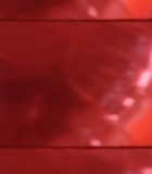 204.jpg