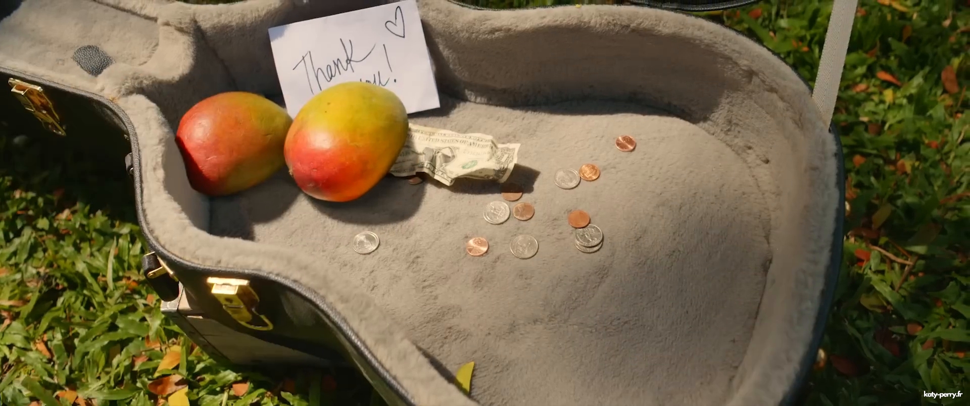 00229.jpg