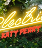 00007.jpg