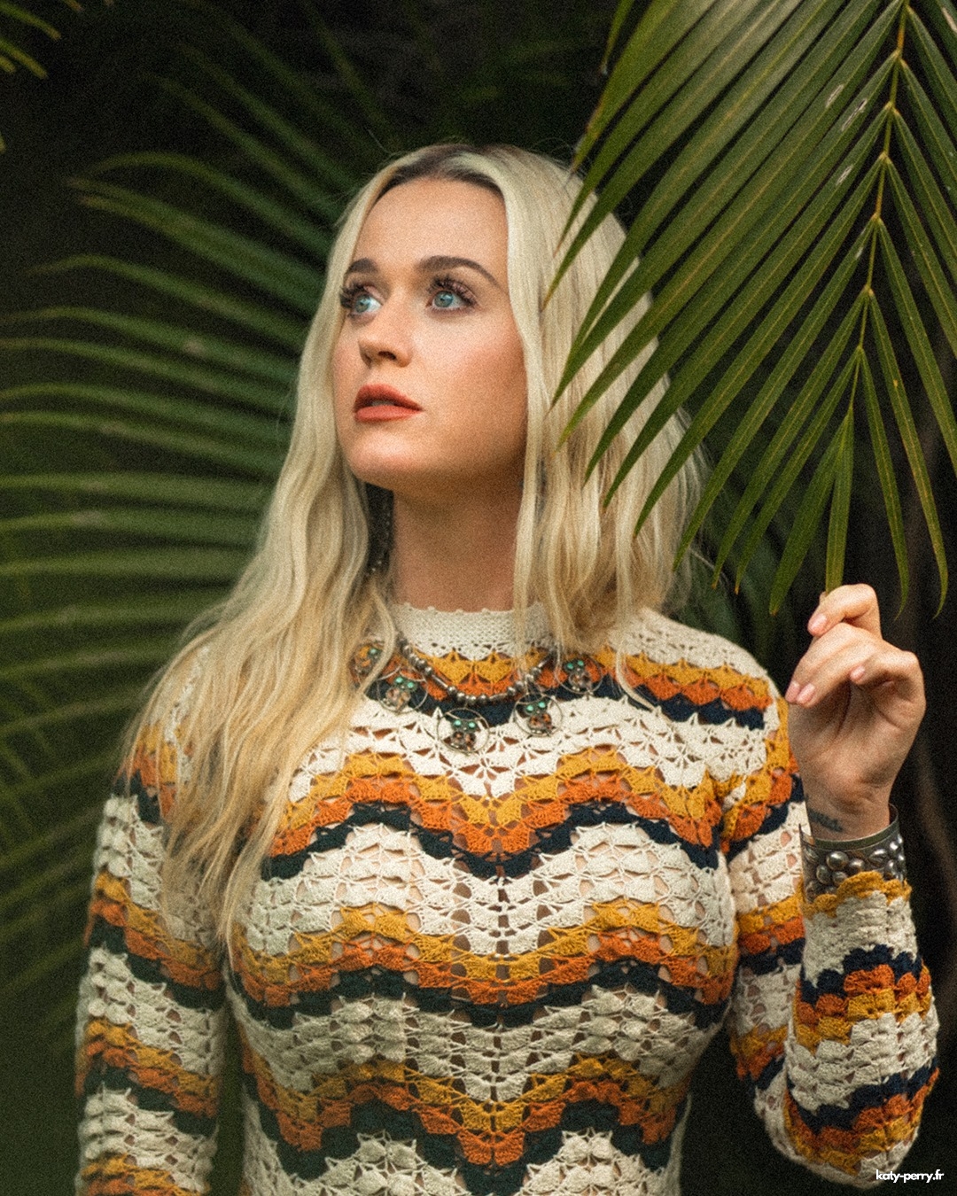 00008.jpg