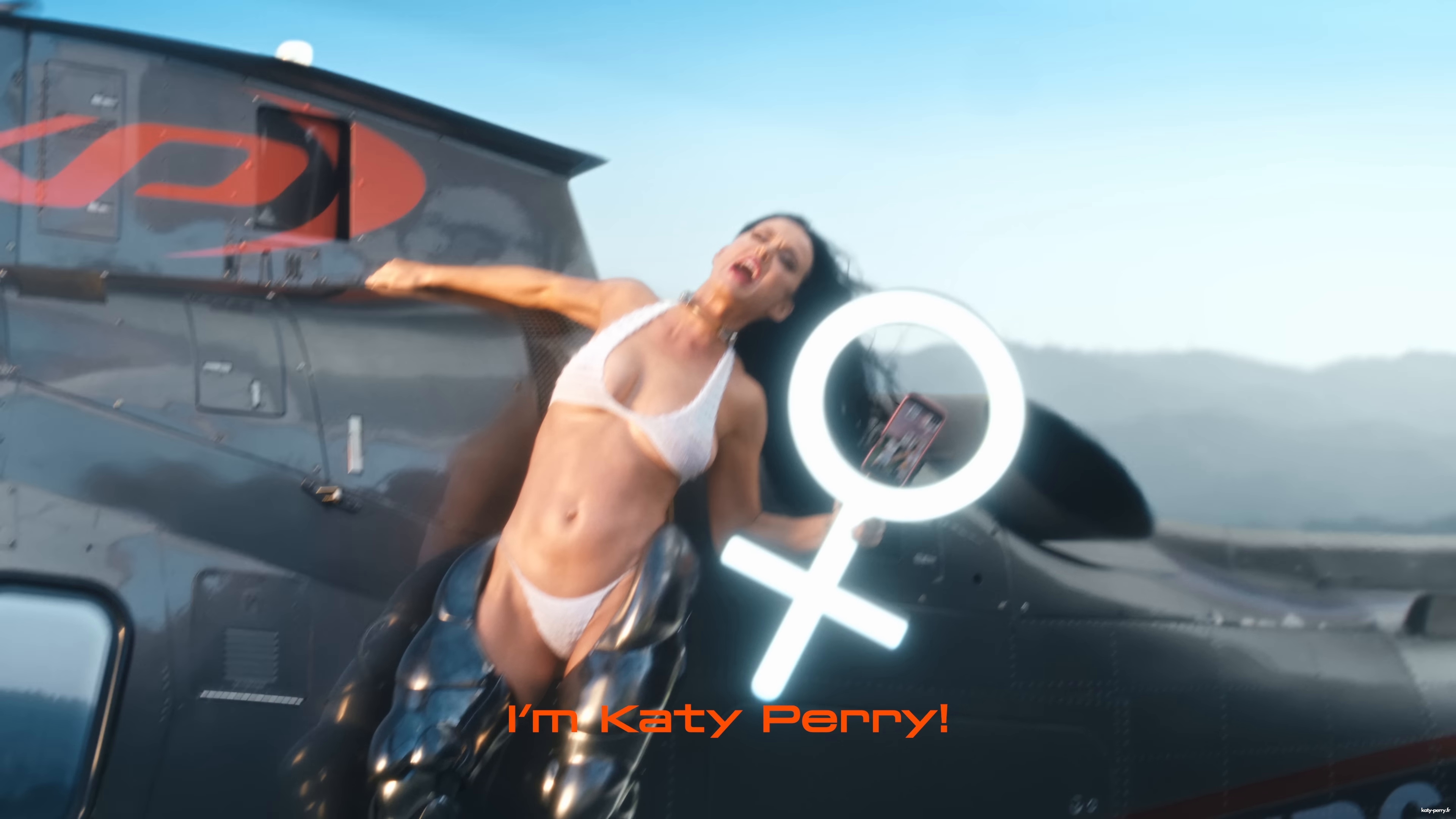 491.jpg