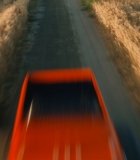 344.jpg