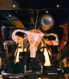 Nom du fichier=372.jpg
Taille du fichier=2239Ko
Dimensions : 3840x2160
Ajouté le : 12 Juillet 2024 372.jpg