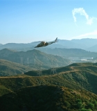 510.jpg