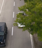 223.jpg