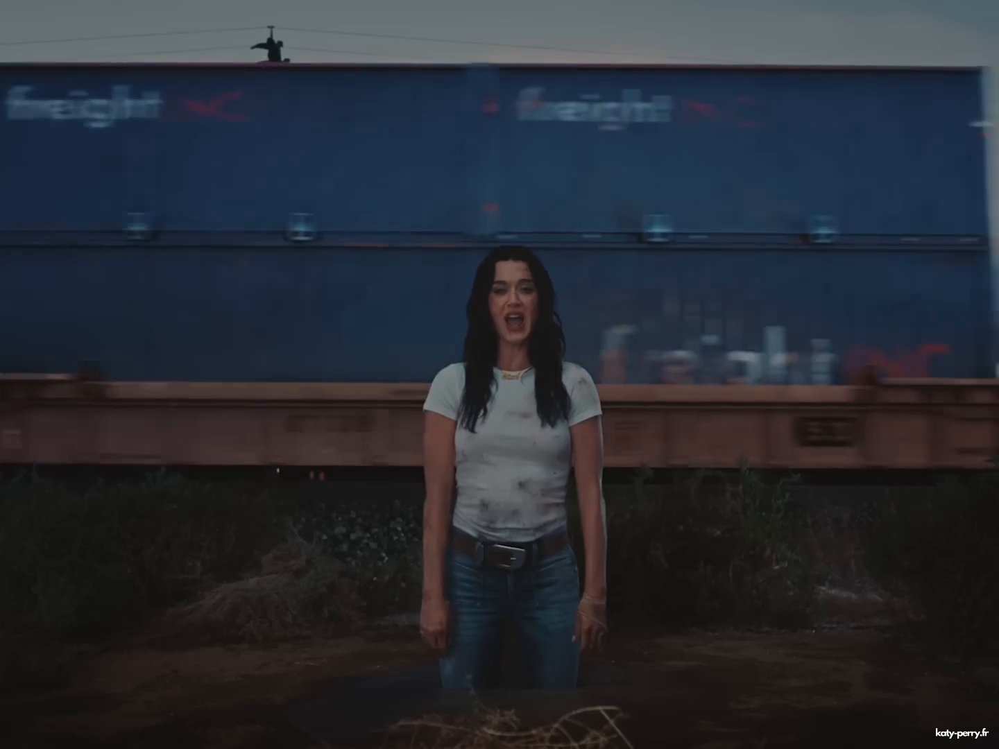 534.jpg