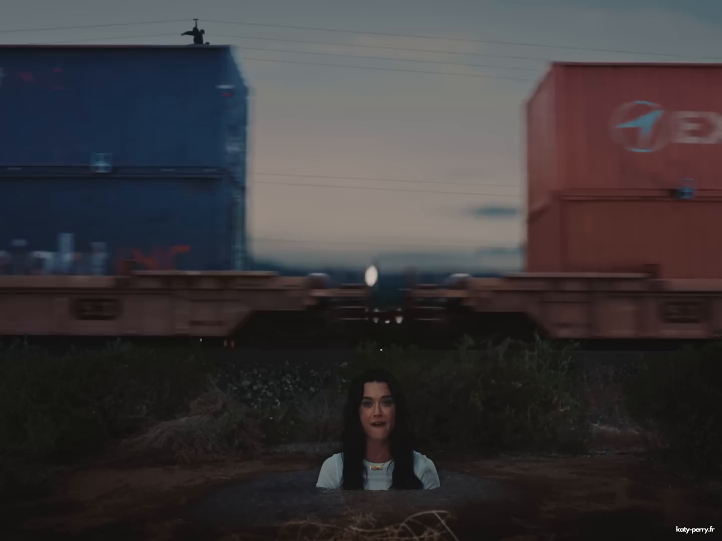 565.jpg